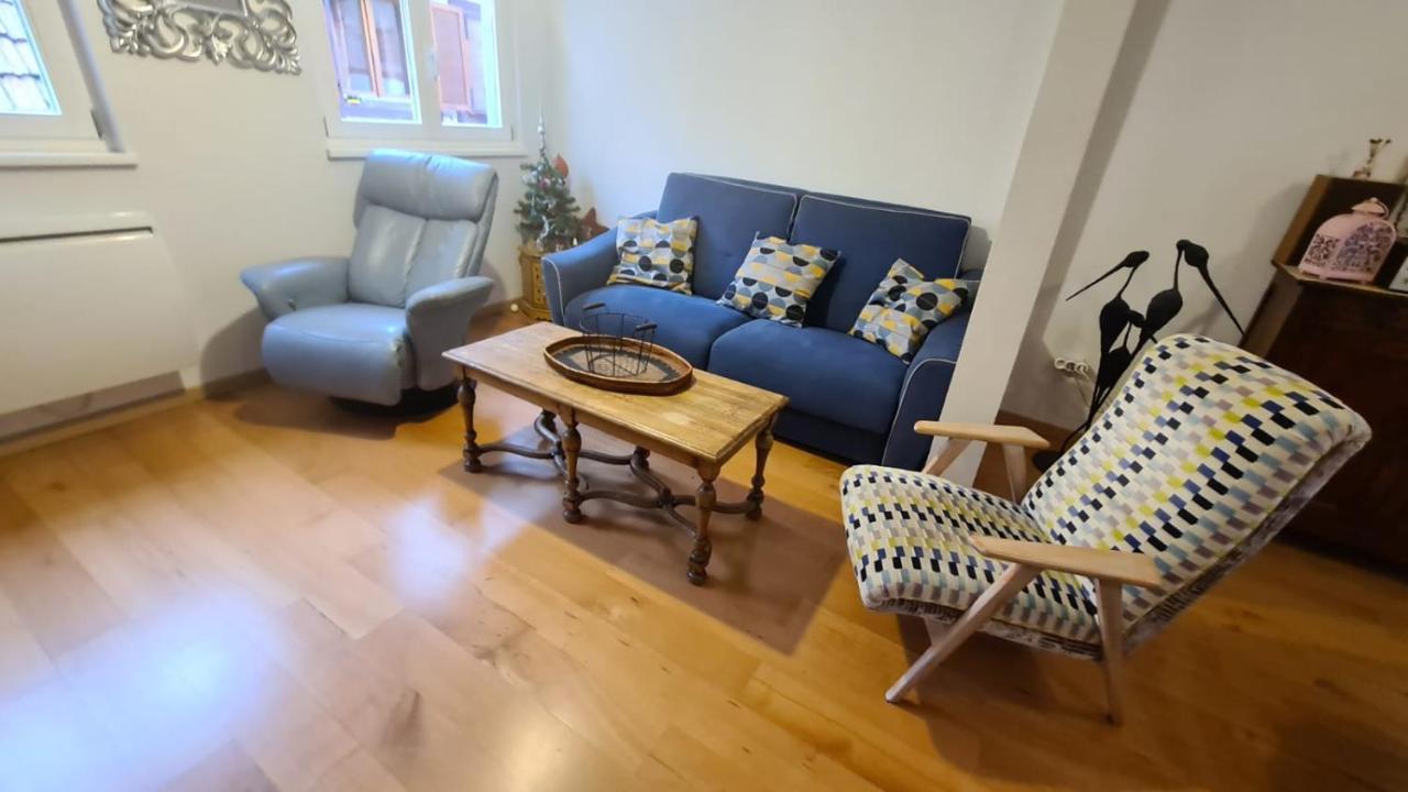 Le Bonheur Est Parfois Cache Dans L'Inconnu Apartment Sélestat Екстериор снимка