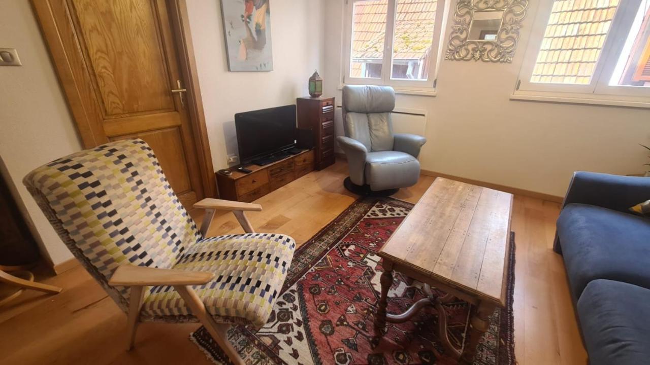 Le Bonheur Est Parfois Cache Dans L'Inconnu Apartment Sélestat Екстериор снимка